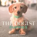 Psí štěňata - The Dogist Puppies