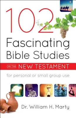 102 fascinujících biblických studií o Novém zákoně - 102 Fascinating Bible Studies on the New Testament