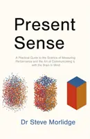 Současný smysl - praktický průvodce vědou o měření výkonu a uměním jeho sdělování s ohledem na mozek - Present Sense - A Practical Guide to the Science of Measuring Performance and the Art of Communicating it, with the Brain in Mind