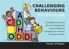 Kapesní příručka o problematickém chování - Kapesní příručka o problematickém chování - Challenging Behaviours Pocketbook - Challenging Behaviours Pocketbook