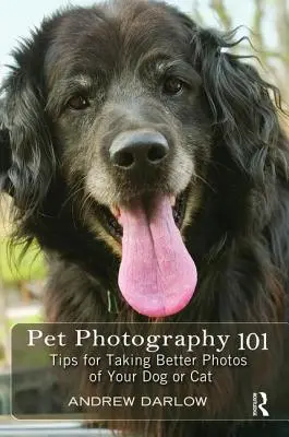 Fotografování domácích mazlíčků 101: Tipy pro lepší fotografování vašeho psa nebo kočky - Pet Photography 101: Tips for Taking Better Photos of Your Dog or Cat