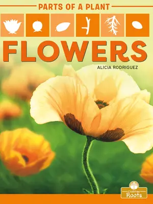 Květiny - Flowers