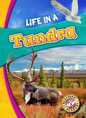 Život v tundře - Life in a Tundra