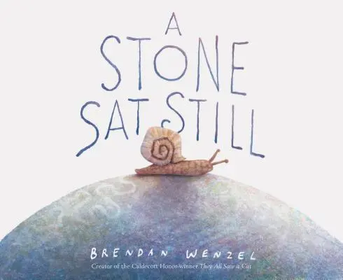 A Stone SAT Still (Kámen stále sedí) - A Stone SAT Still