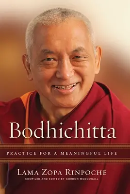 Bódhičitta: Bičitcha: praxe pro smysluplný život - Bodhichitta: Practice for a Meaningful Life