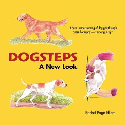 Dogsteps a New Look: Nový pohled - Dogsteps a New Look: A New Look