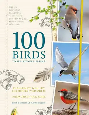 100 ptáků, které musíte vidět během svého života: Seznam přání pro všechny milovníky ptáků. - 100 Birds to See in Your Lifetime: The Ultimate Wish-List for Birders Everywhere