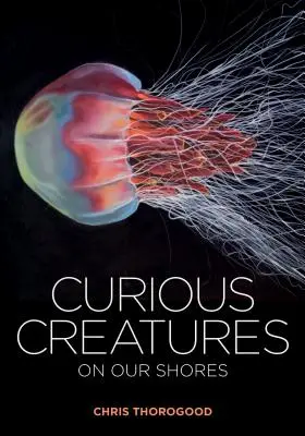 Zvědaví tvorové na našich březích - Curious Creatures on Our Shores