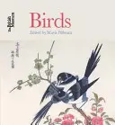Ptáci - Birds