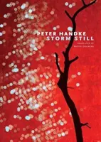 Stále bouře - Storm Still