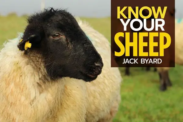 Poznejte své ovce - Know Your Sheep