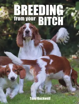 Chov z vaší feny - Breeding from Your Bitch