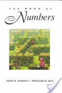 Kniha o číslech - The Book of Numbers
