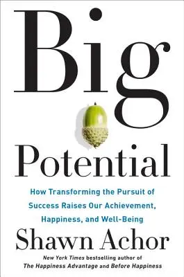 Velký potenciál: Jak proměna honby za úspěchem zvyšuje naše úspěchy, štěstí a pohodu - Big Potential: How Transforming the Pursuit of Success Raises Our Achievement, Happiness, and Well-Being