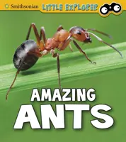 Úžasní mravenci - Amazing Ants