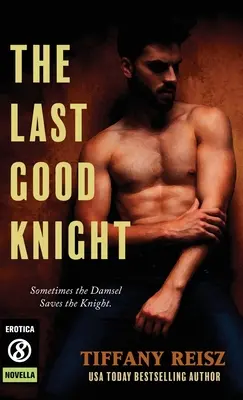 Poslední dobrý rytíř - The Last Good Knight