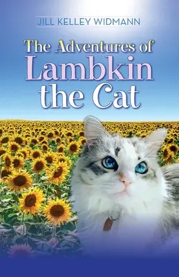 Dobrodružství kocoura Lambkina - The Adventures of Lambkin the Cat