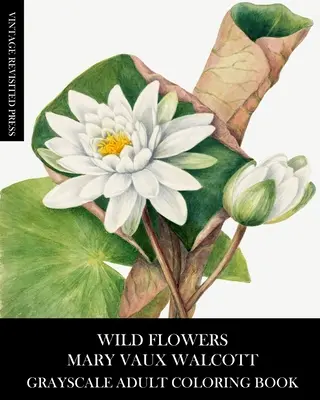 Divoké květiny: Mary Vaux Walcottová Omalovánky v odstínech šedi pro dospělé - Wild Flowers: Mary Vaux Walcott Grayscale Adult Coloring Book
