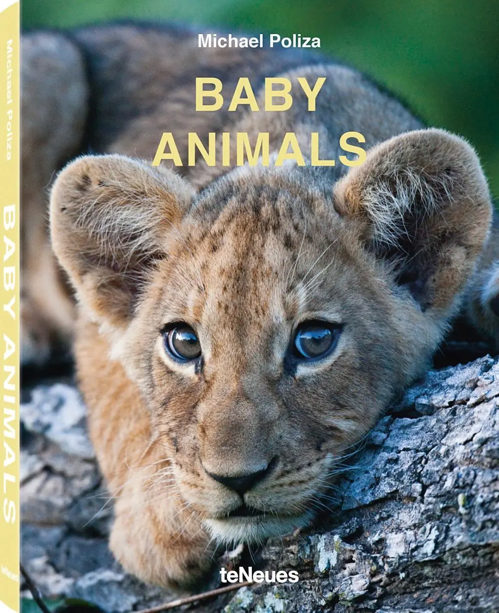 Zvířecí mláďata - Baby Animals