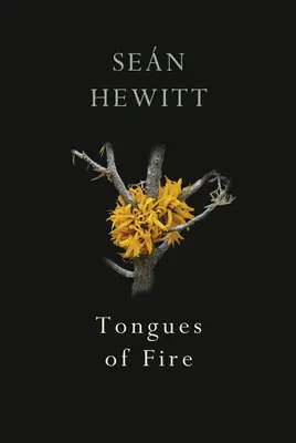 Ohnivé jazyky - Tongues of Fire