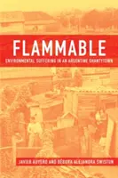 Hořlavina: Ekologické utrpení v argentinské chatrči - Flammable: Environmental Suffering in an Argentine Shantytown
