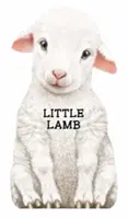 Malý beránek - Little Lamb