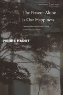 Jen přítomnost je naše štěstí: Davidson: Současnost je přítomnost: rozhovory s Jeannie Carlierovou a Arnoldem I. Davidsonem - The Present Alone Is Our Happiness: Conversations with Jeannie Carlier and Arnold I. Davidson