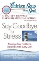 Slepičí polévka pro duši: Rozlučte se se stresem: Vydržte s problémy, velkými i malými, každý den. - Chicken Soup for the Soul: Say Goodbye to Stress: Manage Your Problems, Big and Small, Every Day