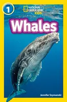 Velryby - úroveň 1 - Whales - Level 1