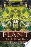 Léčení duchem rostlin: Průvodce prací s vědomím rostlin - Plant Spirit Healing: A Guide to Working with Plant Consciousness