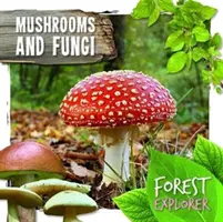 Houby a houbičky - Mushrooms & Fungi