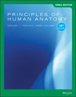 Principy lidské anatomie - Principles of Human Anatomy