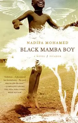 Chlapec s černou mambou - Black Mamba Boy