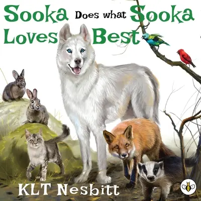 Sooka dělá to, co má nejraději - Sooka Does What Sooka Loves Best