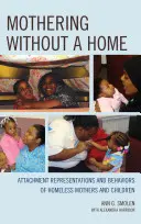 Mateřství bez domova: Reprezentace attachmentu a chování matek a dětí bez domova - Mothering without a Home: Attachment Representations and Behaviors of Homeless Mothers and Children