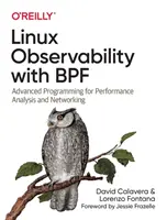 Pozorovatelnost Linuxu s Bpf: Pokročilé programování pro analýzu výkonu a sítě - Linux Observability with Bpf: Advanced Programming for Performance Analysis and Networking