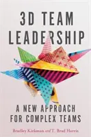 Vedení 3D týmů: Nový přístup ke složitým týmům - 3D Team Leadership: A New Approach for Complex Teams