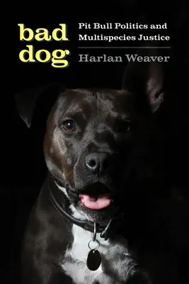 Zlý pes: Pitbull Politics and Multispecies Justice (Politika pitbulů a spravedlnost pro více druhů) - Bad Dog: Pit Bull Politics and Multispecies Justice