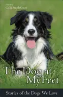 Pes u mých nohou: Příběhy psů, které máme rádi - The Dog at My Feet: Stories of the Dogs We Love