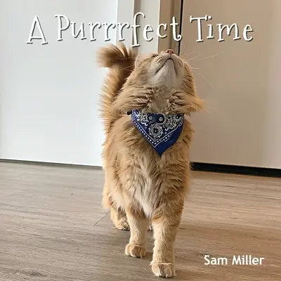 Purrrfektní čas - A Purrrfect Time