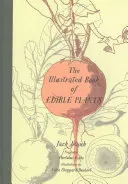 Ilustrovaná kniha jedlých rostlin - The Illustrated Book of Edible Plants