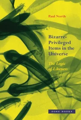 Bizarně-privilegované předměty ve vesmíru: Logika podobnosti - Bizarre-Privileged Items in the Universe: The Logic of Likeness