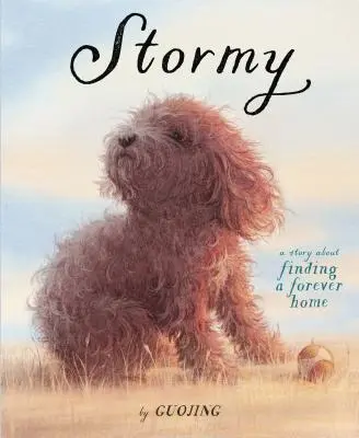 Bouře: Příběh o hledání věčného domova - Stormy: A Story about Finding a Forever Home