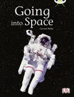 Klub brouků Nezávislá literatura faktu Druhý ročník Zlatá B Letíme do vesmíru - Bug Club Independent Non Fiction Year Two Gold B Going into Space
