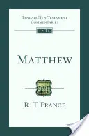 Matouš - Tyndalův komentář k Novému zákonu - Matthew - Tyndale New Testament Commentary