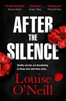 Po tichu - irský kriminální román roku An Post - After the Silence - The An Post Irish Crime Novel of the Year