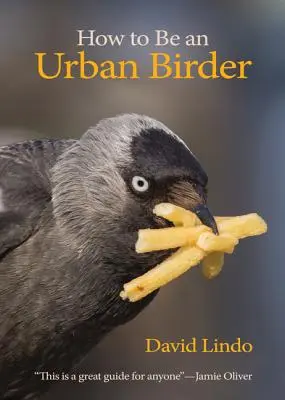 Jak se stát městským ptáčníkem - How to Be an Urban Birder