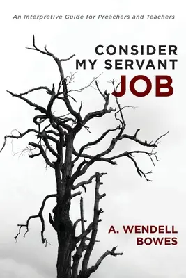Považujte mou práci za služebnou: Výkladová příručka pro kazatele a učitele - Consider My Servant Job: An Interpretive Guide for Preachers and Teachers