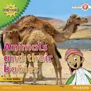 Čítanka literatury faktu 2. úrovně Můj svět v Perském zálivu a já: Zvířata a jejich mláďata - My Gulf World and Me Level 2 non-fiction reader: Animals and their babies