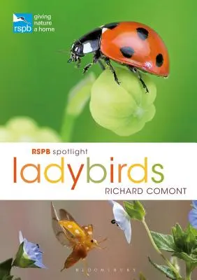 Rspb Spotlight Berušky - Rspb Spotlight Ladybirds